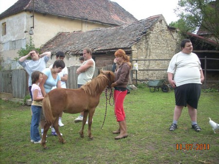 Járovo neteře taky hřebelcovaly