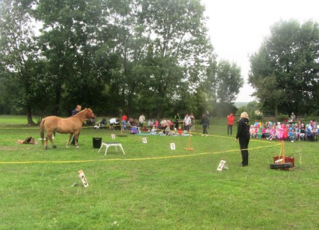 Chytrý koník počítal příklady, které mu kladlo publikum.