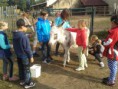 /album/zakladni-skola-cerncice-28-9-2016/wzs3-jpg/